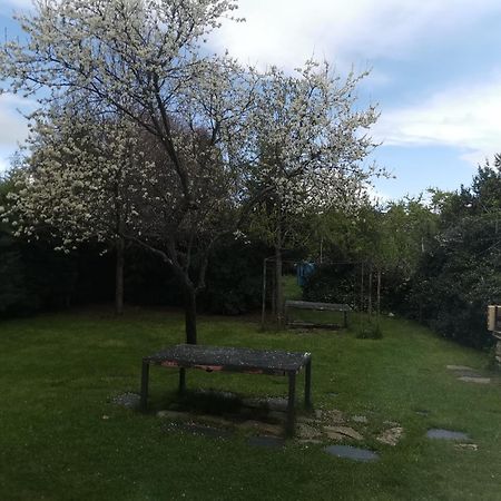 Apartamentos Rurales Alvado Tamajon Luaran gambar