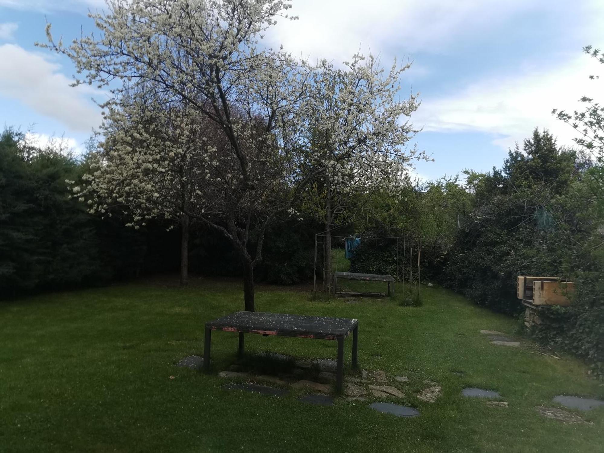 Apartamentos Rurales Alvado Tamajon Luaran gambar